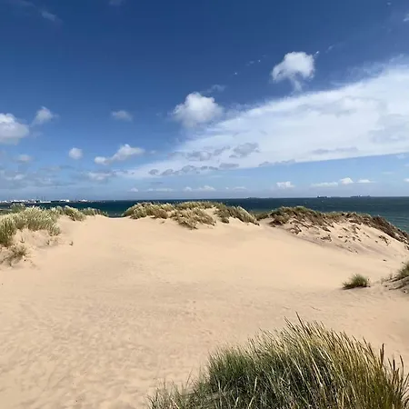 8 Person In Skagen-by Traum * Skagen